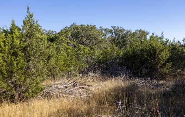 rental at LOT 11 Wainright Springs in Boerne, TX — photo 5