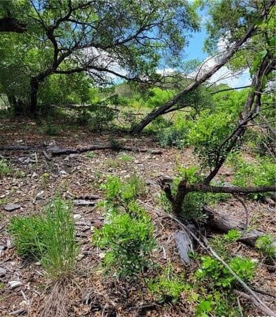rental at 1745 TBD Private Road in Mico, TX — photo 3
