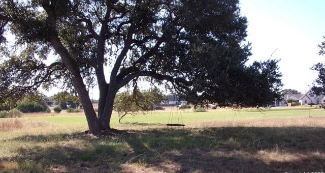 rental at 216 N Calvin Barrett in Blanco, TX — photo 1