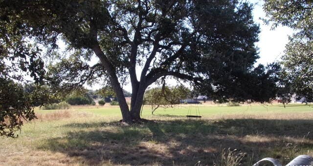 rental at 216 N Calvin Barrett in Blanco, TX — photo 2