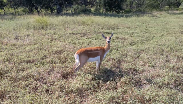 rental at 1 Utopia Forest in Dhanis, TX — photo 4