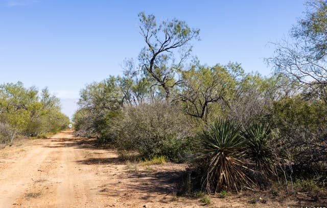 rental at 10 FM 1581 in Pearsall, TX — photo 3