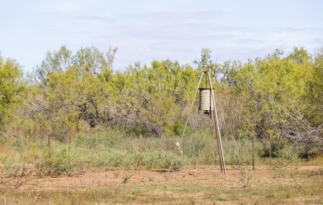 rental at 10 FM 1581 in Pearsall, TX — photo 5