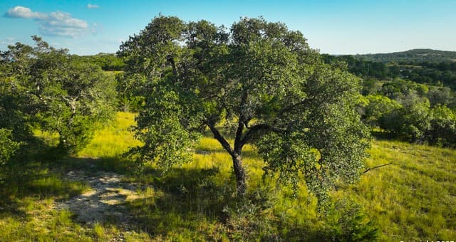 Home for sale at TRACT 3 Jungfrau Hill Road in Comfort, TX — photo 3