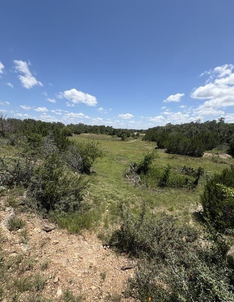 rental at 184 Peyton Colony in Blanco, TX — photo 4