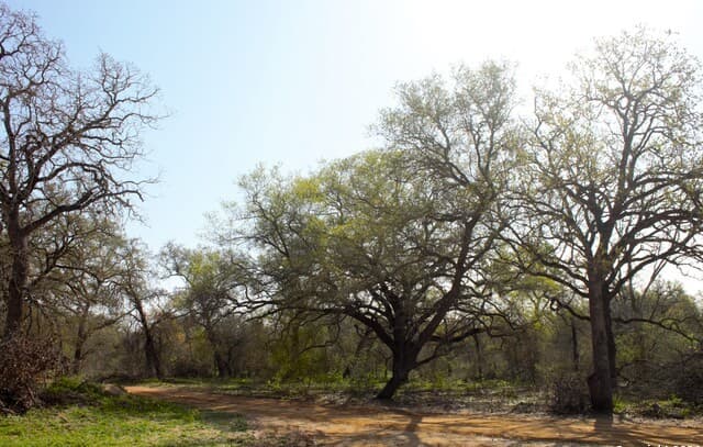 rental at 752 PR Sunset Vista Dr Lot 92 in Somerset, TX — photo 4