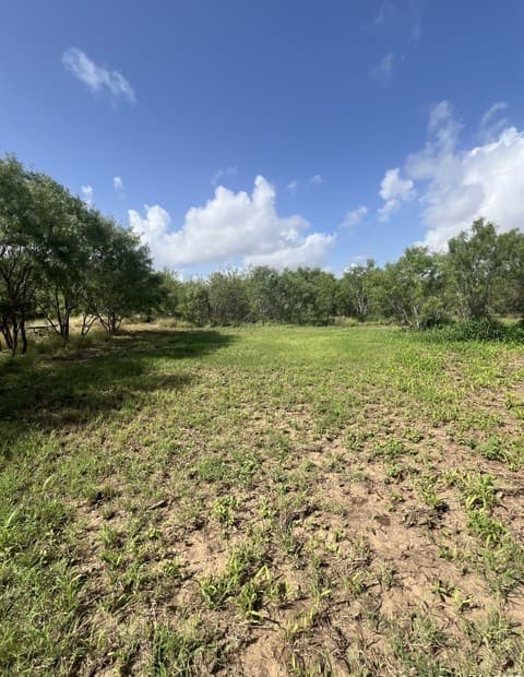 rental at 707 Deer Trail in Jourdanton, TX — photo 5