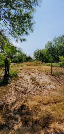 rental at 6834 Calle Briseno in San Antonio, TX — photo 1