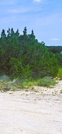 rental at 0 Ken Wayne Dr in Spring Branch, TX — photo 4