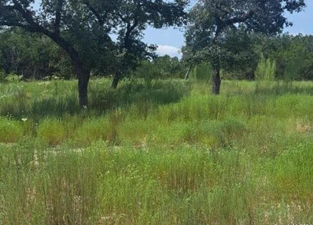 rental at 1064 Ken Wayne in Spring Branch, TX — photo 2