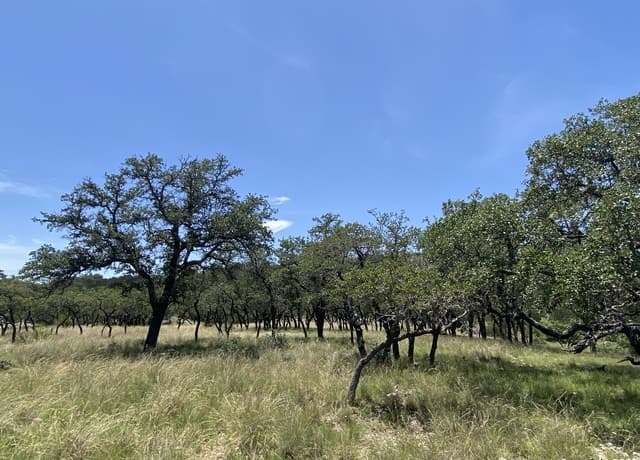 rental at 208 Saddle Wood in Comfort, TX — photo 1