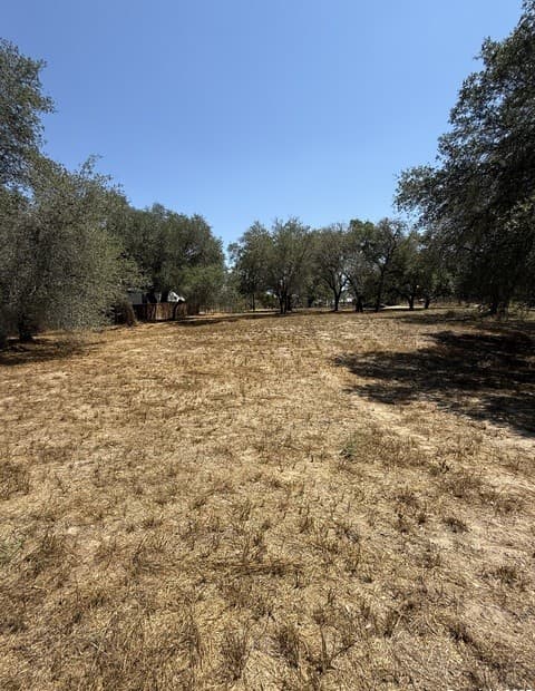 rental at 22815 Grand Spg in Elmendorf, TX — photo 3