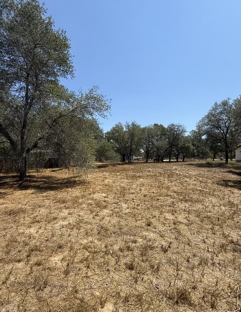 rental at 22815 Grand Spg in Elmendorf, TX — photo 4