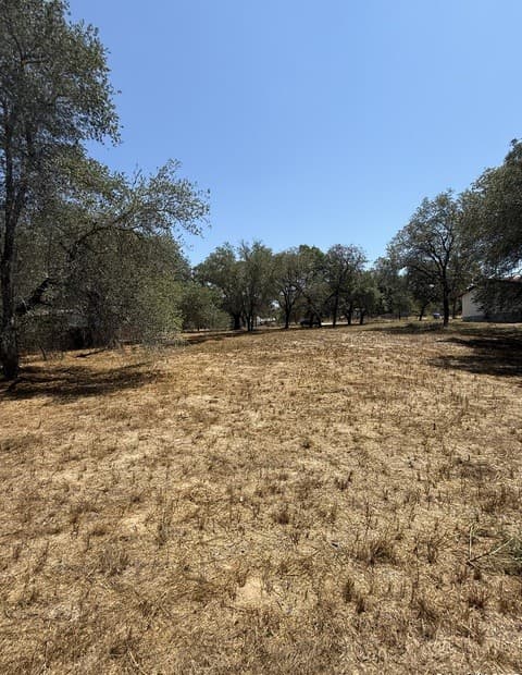 rental at 22815 Grand Spg in Elmendorf, TX — photo 5