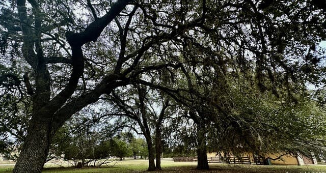 Home for sale at LOT 3 Nakomis Dr in Bandera, TX — photo 3