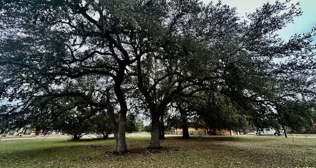 Home for sale at LOT 3 Nakomis Dr in Bandera, TX — photo 5