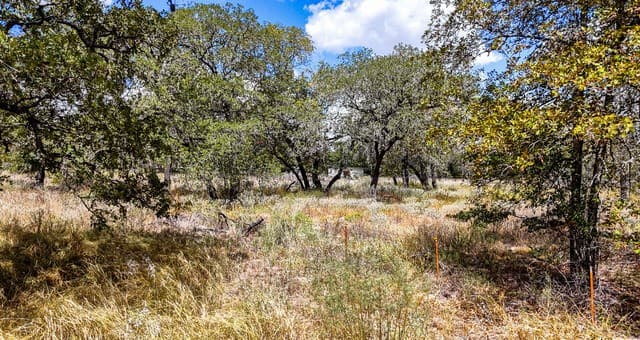 rental at 141 Oak Hill in La Vernia, TX — photo 5