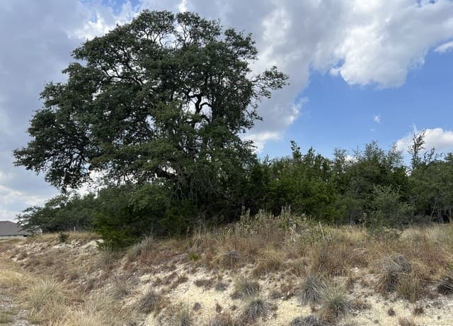 rental at 113 Daniel Jackson in Blanco, TX — photo 3