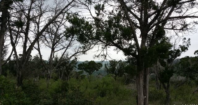 rental at 220 Private Road 1717 in Mico, TX — photo 1