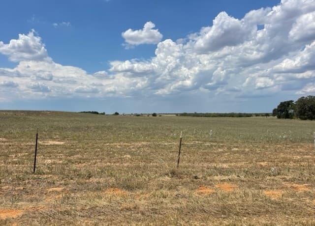 rental at 713 County Road 232 in Floresville, TX — photo 2