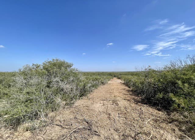 rental at 3272 County Road 1515 in Moore, TX — photo 5