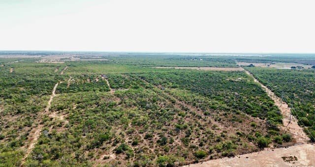 rental at 7365 Leal Rd in Pleasanton, TX — photo 4
