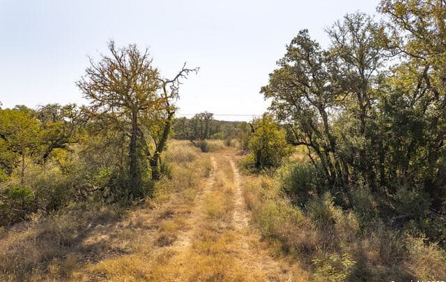 rental at 540 Pr 233 in Hondo, TX — photo 2