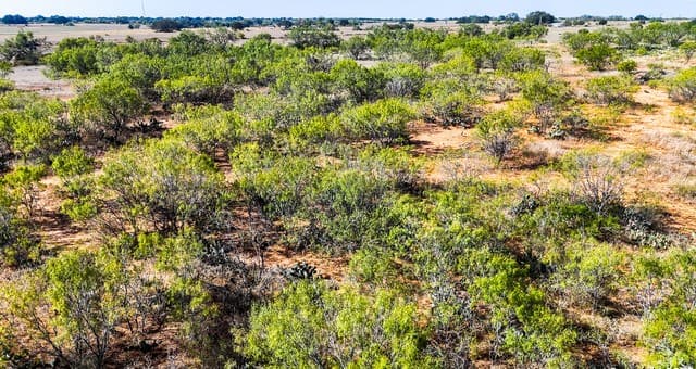rental at FM 472 in Bigfoot, TX — photo 4