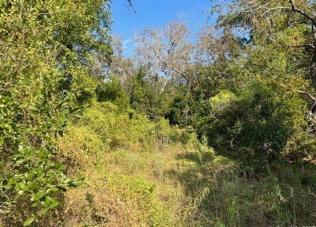rental at 19623 Terra Mont in San Antonio, TX — photo 2