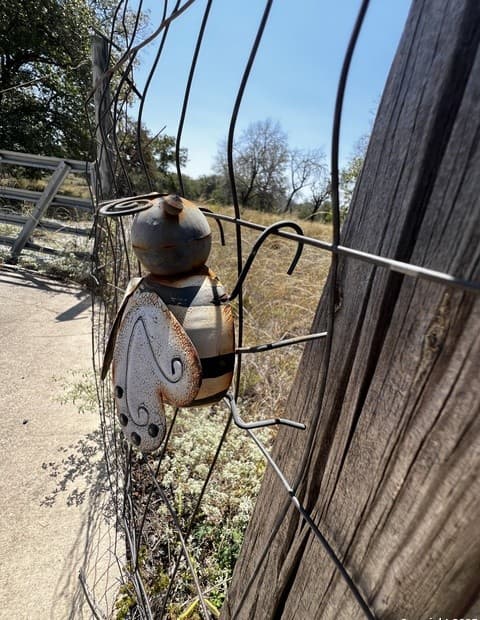 rental at TBD, LOT 17 Woodland Hills in Poteet, TX — photo 4