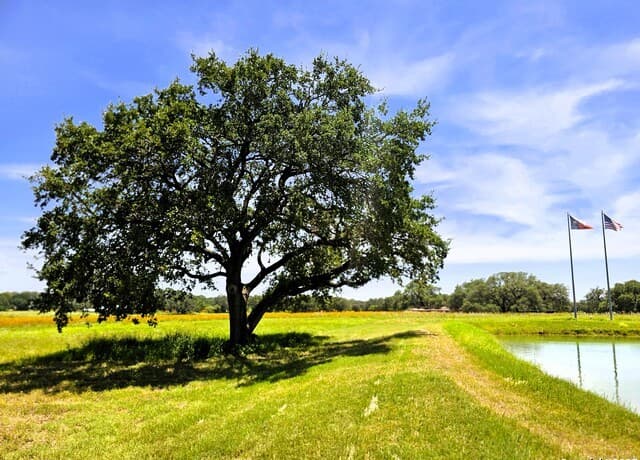 rental at 220 County Road 4401 in Dilley, TX — photo 1