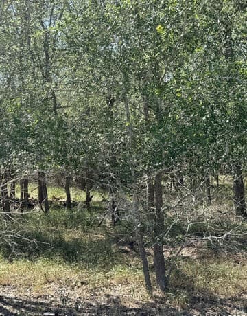 rental at 412 Kerr Avenue in Sutherland Springs, TX — photo 2