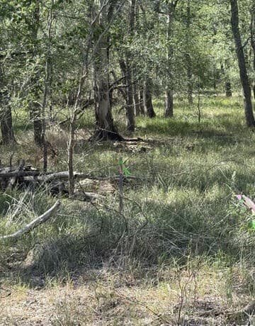 rental at 412 Kerr Avenue in Sutherland Springs, TX — photo 4