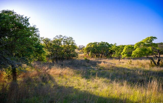 rental at LOT 31 Shady Hollow in Blanco, TX — photo 4