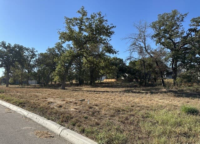 rental at 128 Chinaberry Hill in La Vernia, TX — photo 3