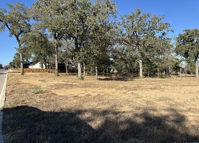rental at 132 Chinaberry Hill in La Vernia, TX — photo 3