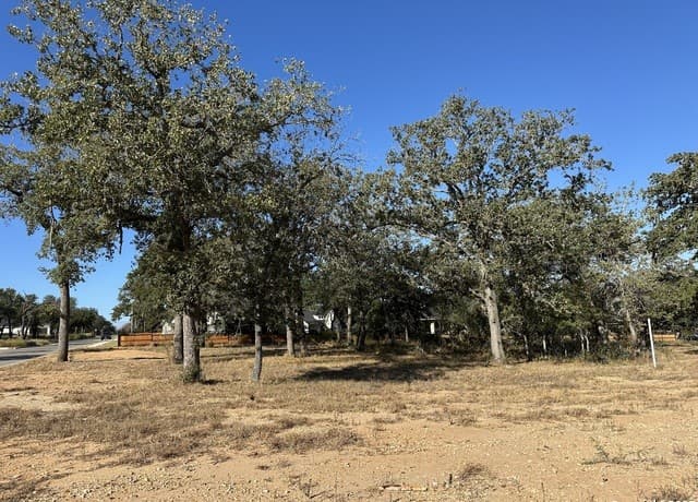 rental at 132 Chinaberry Hill in La Vernia, TX — photo 5