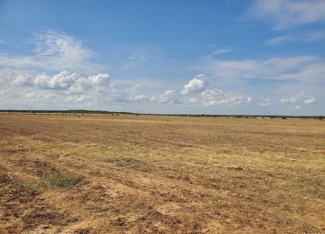 rental at 978 County Road 1670 in Moore, TX — photo 4