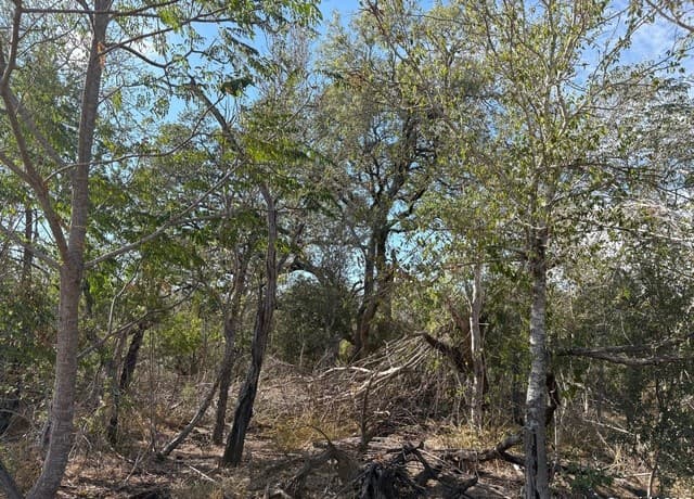 rental at 10.36 ACRES New Sulphur Springs Road in San Antonio, TX — photo 4