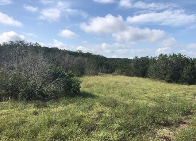 rental at LOT 83 County Road 243 in Hondo, TX — photo 5