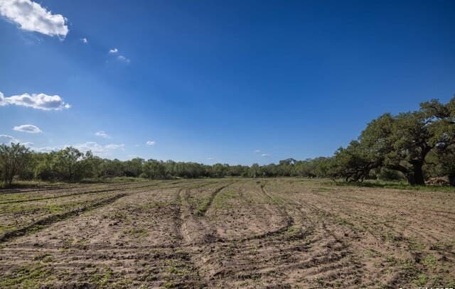 Home for sale at 444 County Road 748 in Yancey, TX — photo 4