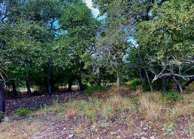 rental at 8423 Rochelle Rd in San Antonio, TX — photo 2