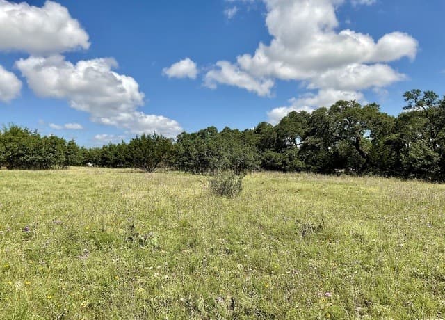 rental at 105 Steve Baker in Blanco, TX — photo 2