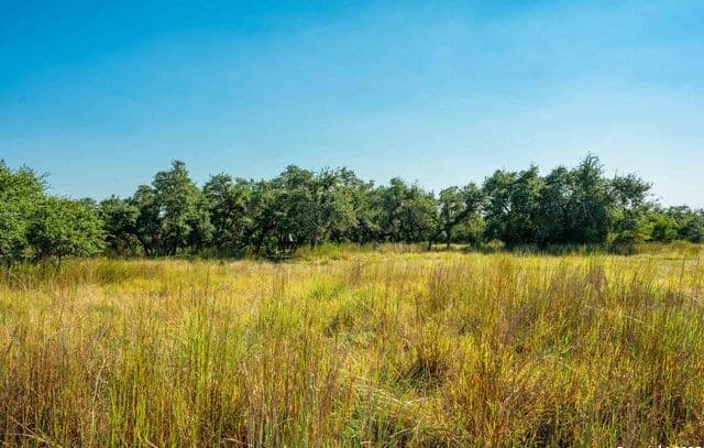 4-bedroom rental at 147 Gray Wolf in Blanco, TX — photo 4