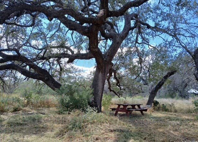 home for sale at 4415 State Highway 173 in Bigfoot TX