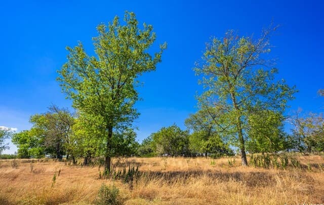 rental at LOT 9 The Views Blvd in Fredericksburg, TX — photo 5