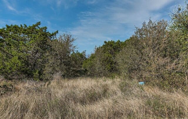 rental at LOT 229 Cr 2748 in Mico, TX — photo 1
