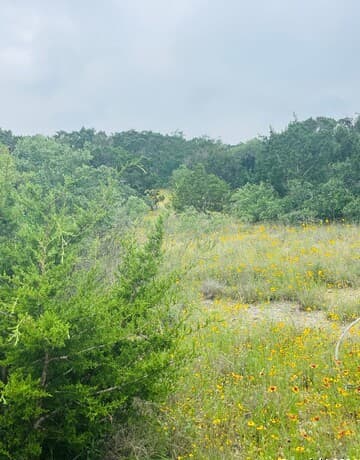 rental at 14333 Santa Loma in Helotes, TX — photo 5