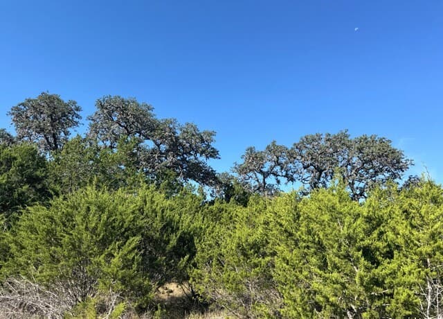 Home for sale at 1234 Fm 2828 in Bandera, TX — photo 1