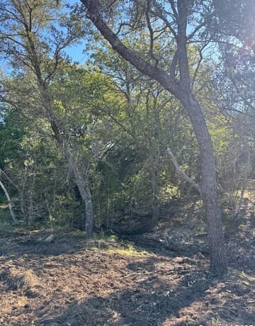 Home for sale at 1234 Fm 2828 in Bandera, TX — photo 4